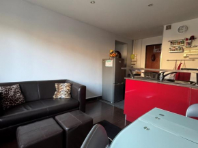 Type 2 lumineux avec grand garage à Aix-les-Bains - FR-1-555-104 Aix-Les-Bains